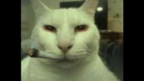 warframe is a bug free game