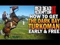 The Dark Bay Turkoman! Get It Early & Free! Red Dead Redemption 2  BestHorses [RDR2]