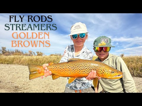 Fly Fishing Freestone Brown Trout, Sink Tip Lines, and Articulated Streamers. On an East Cape Drift
