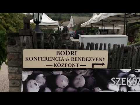 Video: Kakav Je Festival Vina Bull's Blood Wine U Egeru?