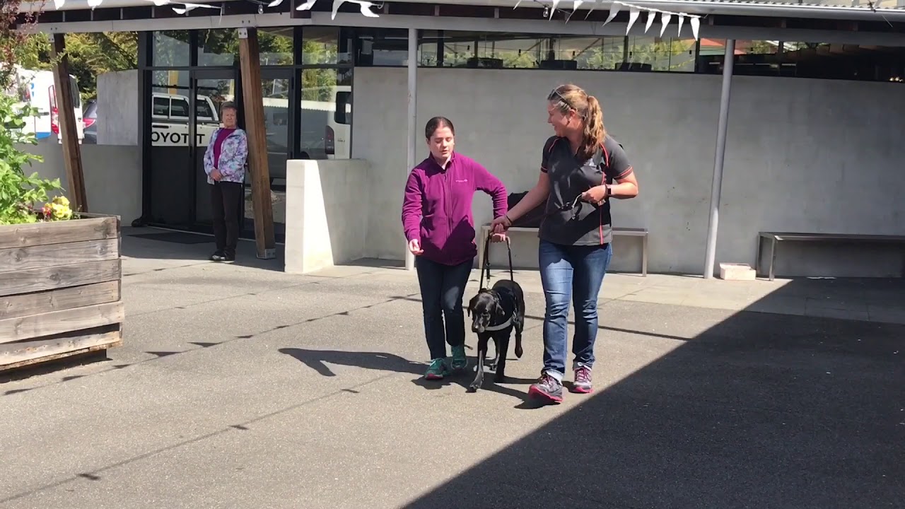 Guide Dogs Tasmania event in Launceston YouTube