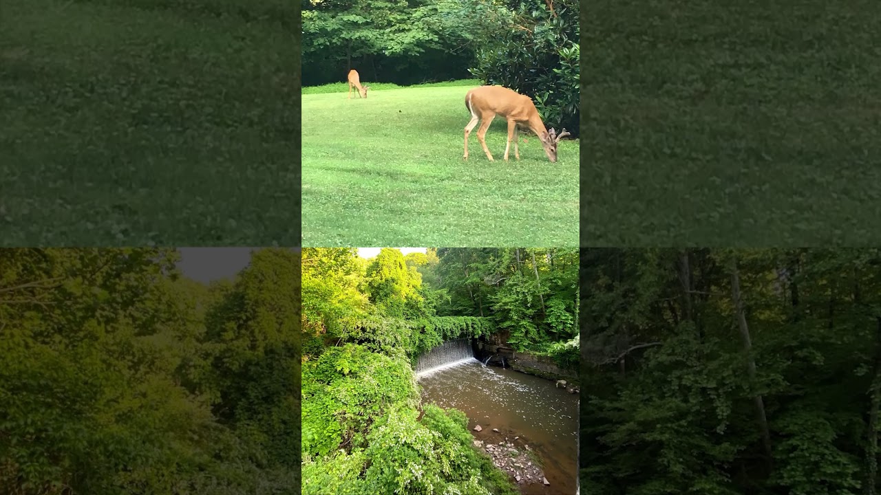 scenic nature in Atlanta
