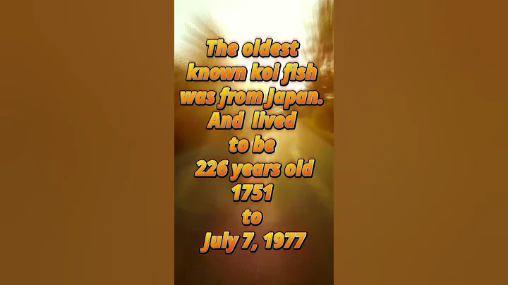 Vibe Lift | Royalty Free Music | Somethings ;) You Didn't Know