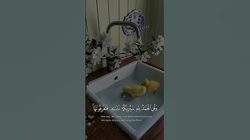 وقل الحمد لله سيريكم آياته فتعرفونها | سورة النمل | اسلام صبحي