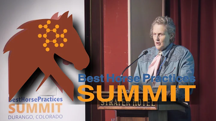 Temple Grandin Understanding Animal Behavior and Reducing Stress