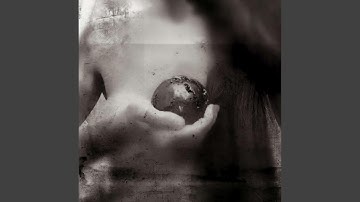 SHALICU (Tunnel XXXI)