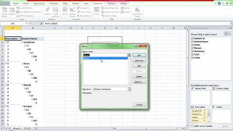 Automate manual repeated work in pivot table using VBA Macro code