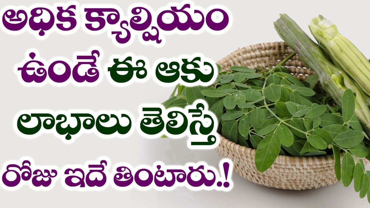 Amazing Health Benefits Drumstick Leaves That You NEVER Know! Health