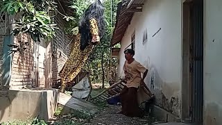 Kuntilanak Daster Kuning || Prank Terlucu Paling Ngakak || Yellow Negligee Ghost