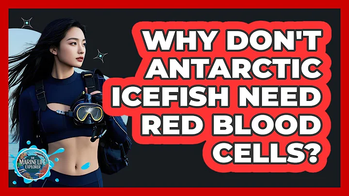 Why Don't Antarctic Icefish Need Red Blood Cells? - The Marine Life Explorer