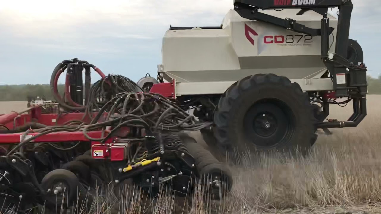 1.07.21 всходы подсолнечника Bourgault & Väderstad tempo