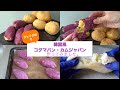 レンジで作る!もっちもち韓国風【コグマパン・カムジャパンの作り方】本場のレシピを作りやすくアレンンジして、タピオカ粉で作っています。⚠️パンではなくなりました。