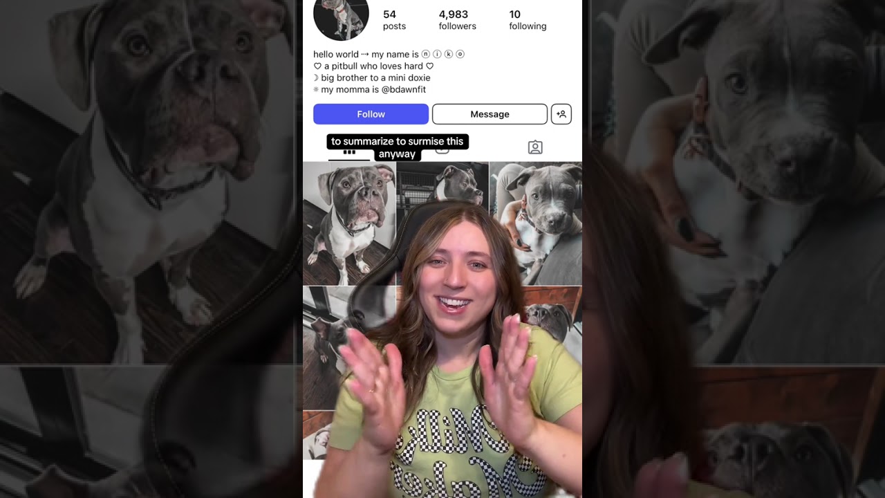 Internet History 5- Another Dog Ditched by Brittany Dawn (Shortform Recap)