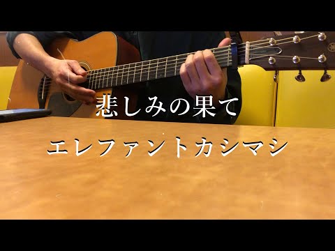 悲しみの果て [エレファントカシマシ]  弾き語りcoverフル