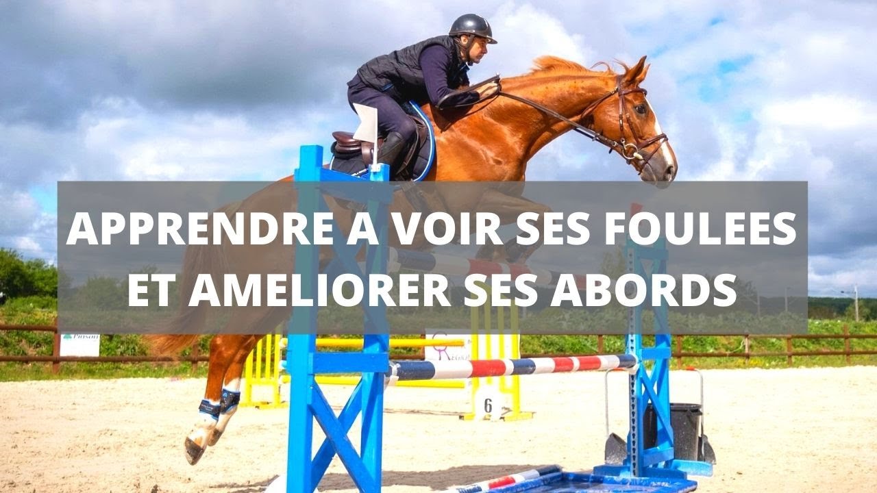Formation saut d'obstacles: Le bon galop, voir ses foulées, améliorer ses abords [équitation cheval]