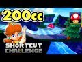 Mario Kart Wii 200cc Shortcut Challenge - Colton vs Matt