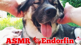 (ASMR Magyar)🕸ENDORFIN🌸 screenshot 5