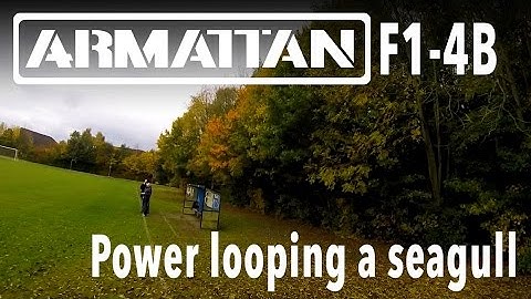Armattan F1-4B power looping a seagull