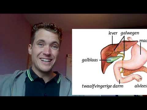 CompleetZijn - Wat heb jij op je lever? Leverproblemen toegelicht en opgelost.
