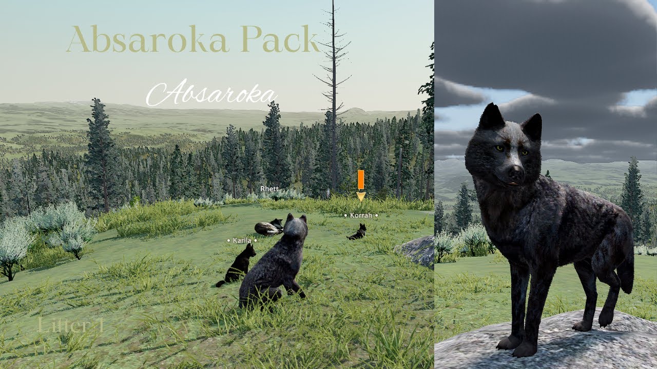 Absaroka Pack - Absaroka L1 - Rendezvous [WolfQuest Saga] - YouTube