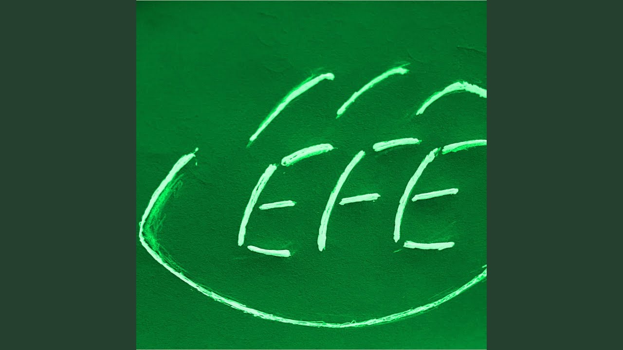 EAGLES FLY EVERYWHERE (EFE)