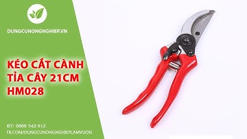Kéo cắt cành tỉa cây cắt trái 21cm HM028 | Dungcunongnghiep.vn