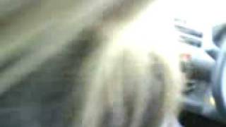 Squishing Of The Bug