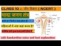 मादा जनन तन्त्र। मासिक धर्म। Up board exam।‌ female reproductive system। Menstrual cycle🩸🩸