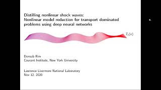 DDPS | Distilling nonlinear shock waves