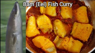 Baam Fish Curry Eel Fish Curry Baam Machli Ka Salan Easy Fish Curry Recipe Sea Baameel Rec