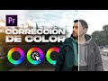 CORRECCIÓN de COLOR AVANZADO Paso a Paso (Tutorial Premiere Pro)