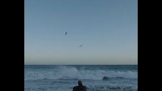 (FREE) Feid x Bad Bunny - \