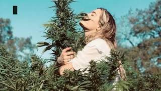 Can You Buy Smokable Hemp Flower In Georgia?