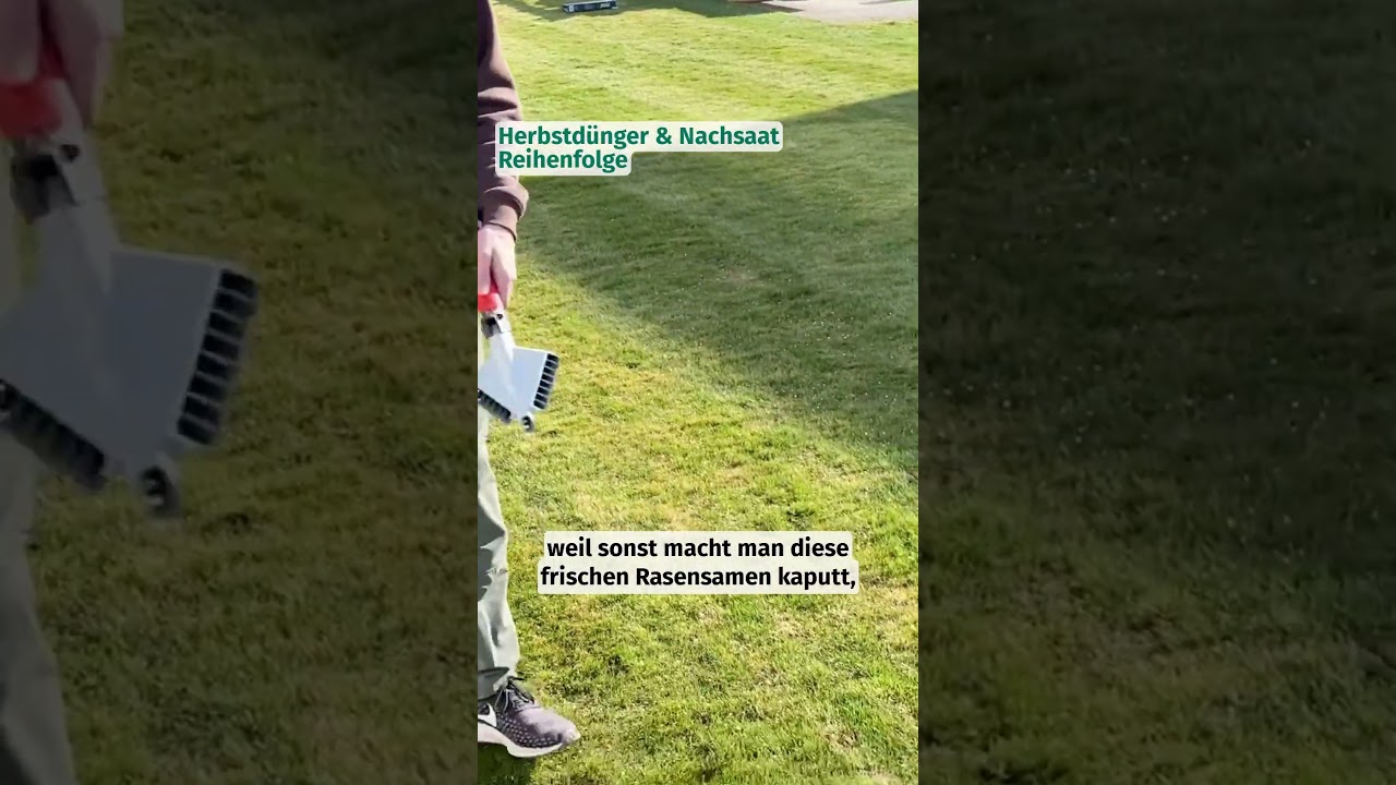 Was sollte man zuerst machen, dngen oder Nachsaat? #foryou #dnger #dngen  #garten #lawn - YouTube