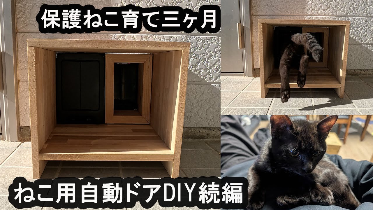 子猫の為の自動ドアを作るDIY【続編】保護猫 - YouTube