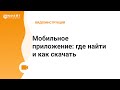 Мобильное приложение: где найти и как скачать