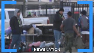 Congress needs to address migrant influx before election: Chicago alderman | NewsNation Live