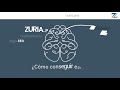 SEO Explainer Video | Zuria.Pro