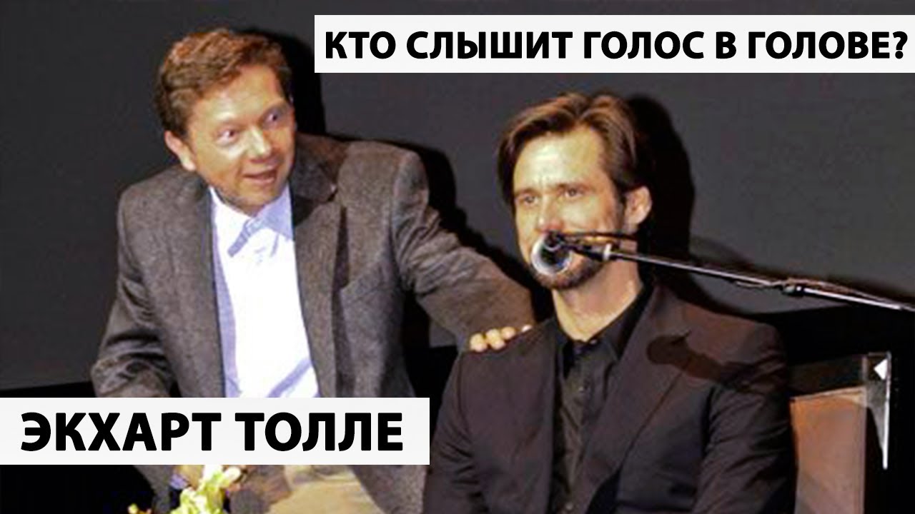 Нескончаемый поток машин Нескончаемый поток машин