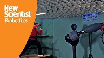 Meet QIBBOT, the world