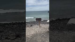 Puertito de los Molinos #fuerteventura #travel #sea #beach #nature #atlanticocean #canaryislands