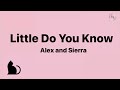 Alex  sierra  little do you know lyrics