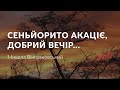 Микола Вінграновський — Сеньйорито акаціє, добрий вечір... (аудіокнига)