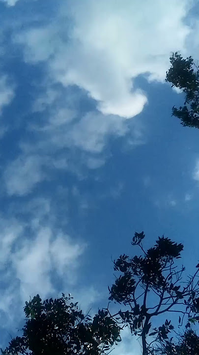 sky video footage#shortsvideo#blue sky#clouds#moving clouds#landscape#time lapse#short video