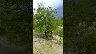 cruzando serros y arrollos ..#ranchos