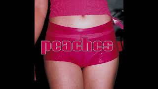 Peaches - Fuck The Pain Away