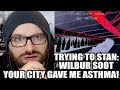 TRYING TO STAN YOUR CITY GAVE ME ASTHMA (WILBUR SOOT ALBUM)