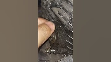 pulsar timing chain adjester