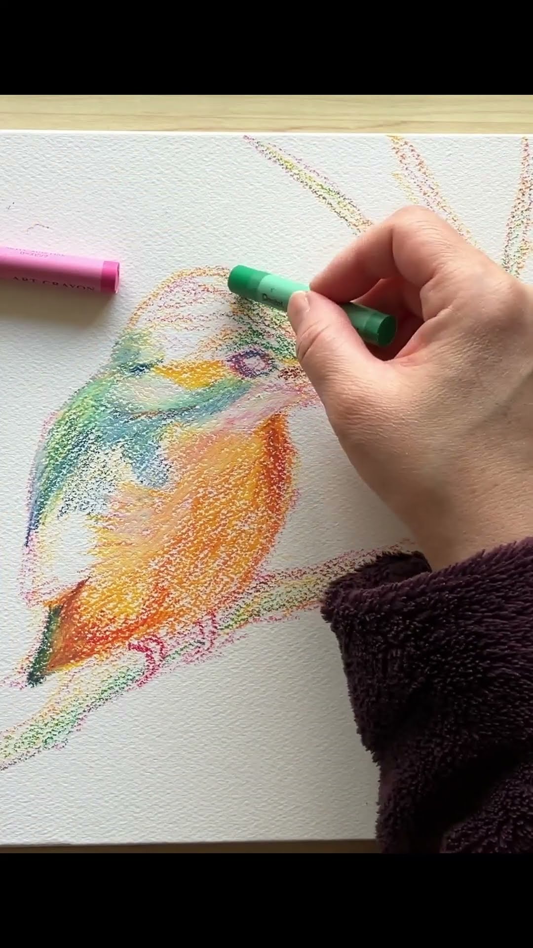 手描きオウムのクレヨン画 （12ページ | 車の塗り絵ページ 写真