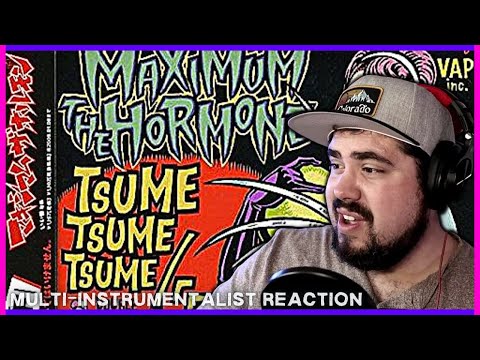 Multi-Instrumentalist First Time Hearing 'Tsume Tsume Tsume' MAXIMUM THE HORMONE | Reaction